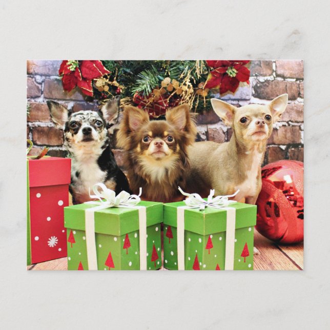 Christmas - Chihuahua - Blue - Precious - Yogi Holiday Postcard (Front)