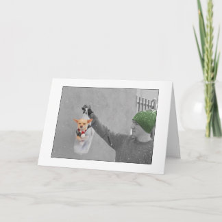 CHRISTMAS CHIHUAHUA CARD