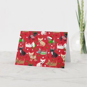 Christmas Chihuahua Card