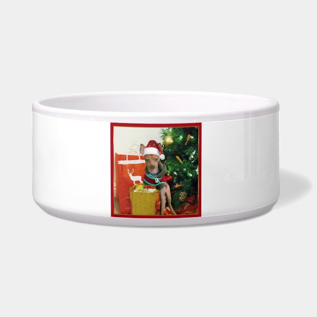 Christmas chihuahua dog bowl (Front)