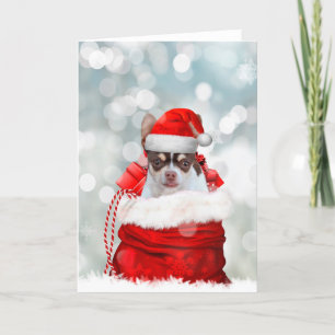 Christmas Chihuahua dog greeting card