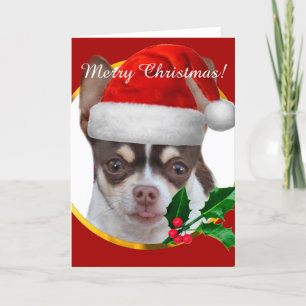 Christmas Chihuahua dog greeting card