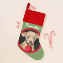 Christmas Chihuahua dog stocking