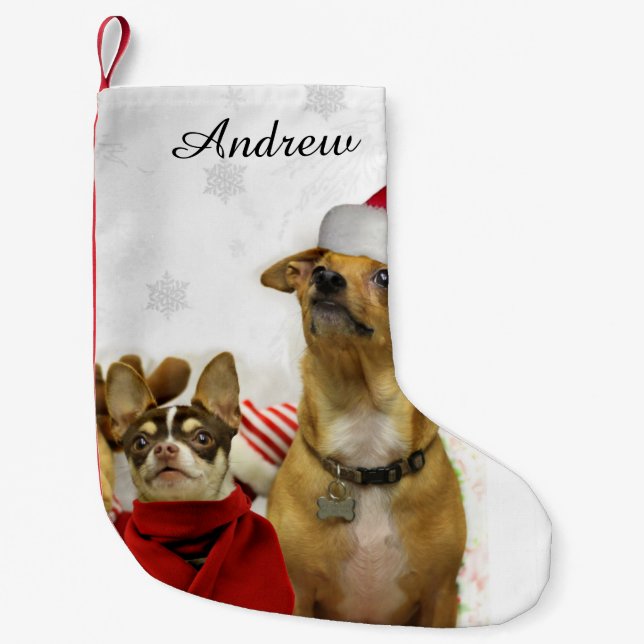 Christmas Chihuahua dogs personalized stocking (Front)