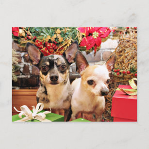 Christmas - Chihuahua - Gordy and Pedro Holiday Postcard