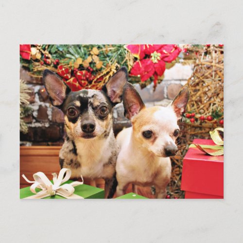 Christmas _ Chihuahua _ Gordy and Pedro Holiday Postcard