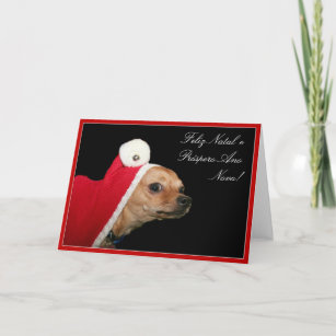 Christmas Chihuahua Holiday Card