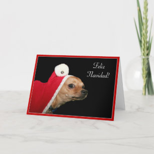Christmas Chihuahua Holiday Card
