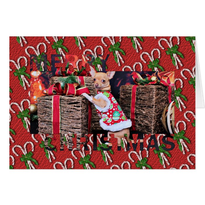 Christmas   Chihuahua   Matty Greeting Card