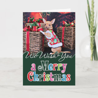 Christmas - Chihuahua - Matty Holiday Card