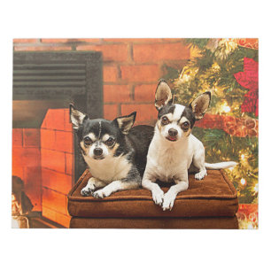 Christmas Chihuahua’s Notepad