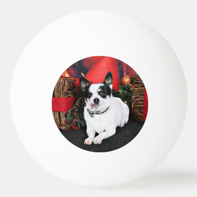 Christmas - Chihuahua X - Stella Ping-Pong Ball (Back)