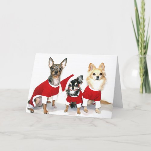 Christmas Chihuahuas Holiday Card