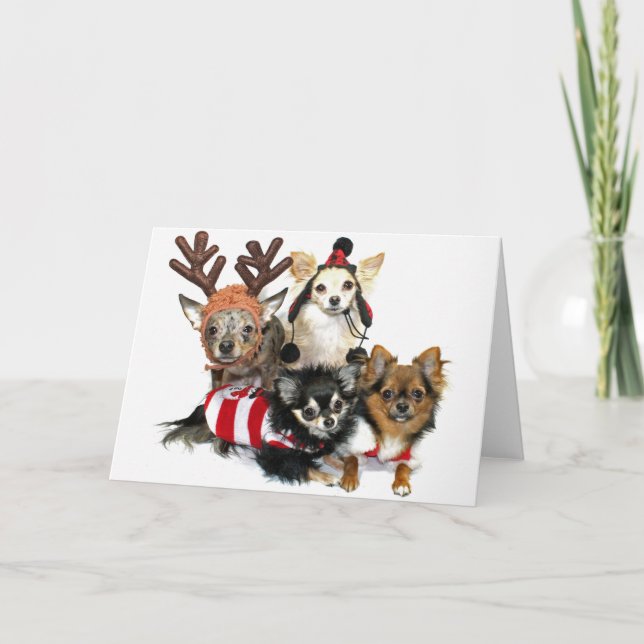 Christmas Chihuahuas Holiday Card (Front)