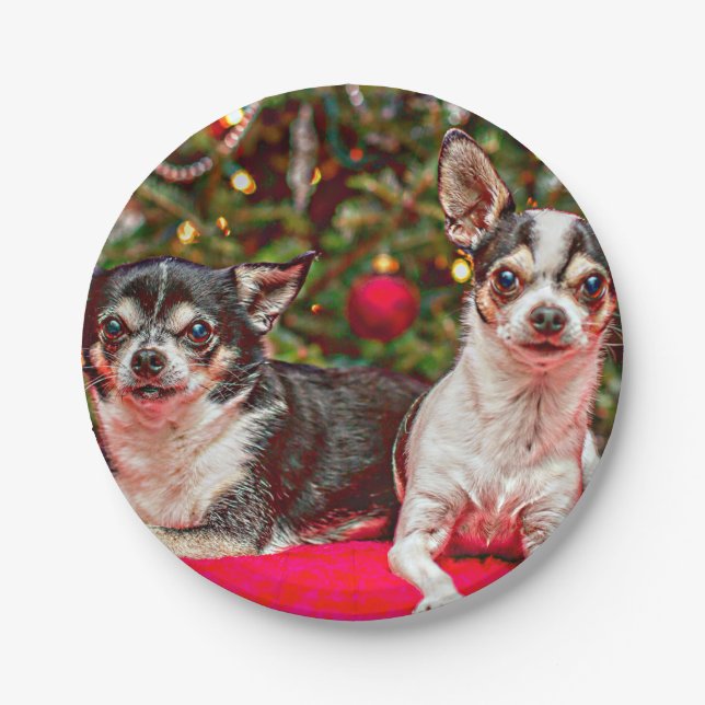 Christmas Chihuahua's Paper Plates (Front)