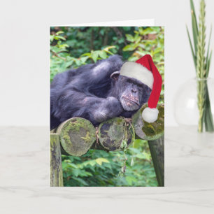 Christmas Chimpanzee with a Santa Hat Card