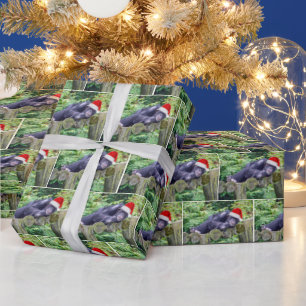Christmas Chimpanzee with a Santa Hat Wrapping Paper