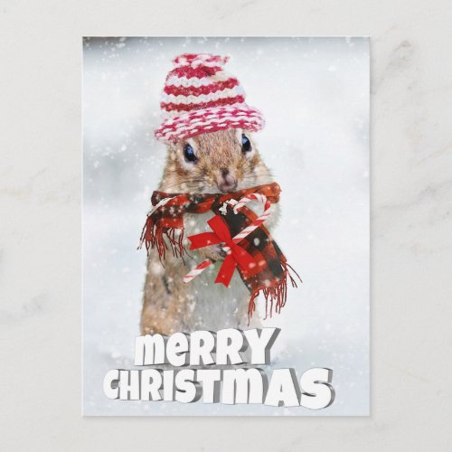 Christmas chipmunk postcard