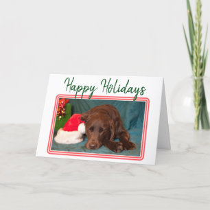 Christmas Chocolate Labrador and Santa Claus Hat Holiday Card
