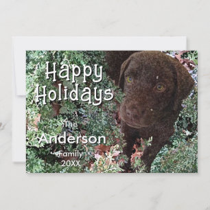 Christmas Chocolate Labrador Dog "Happy Holidays"  Card