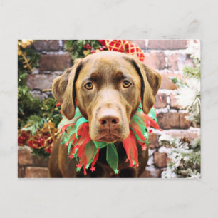 Christmas - Chocolate Labrador - Hershey Holiday Postcard