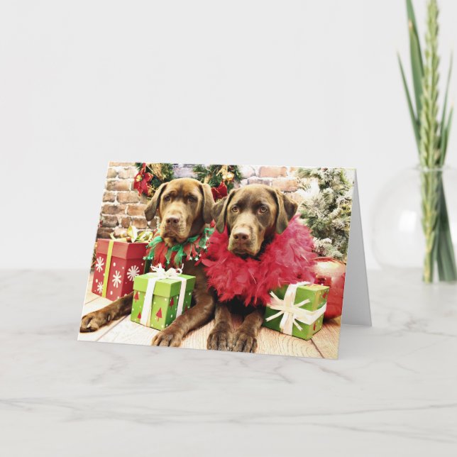 Christmas - Chocolate Labrador - Hershey & Zena Holiday Card (Front)