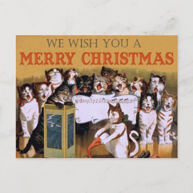Christmas Choral Cats Postcard (Front)