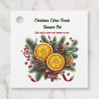 Christmas Citrus Simmer Pot Scents Favor Tags