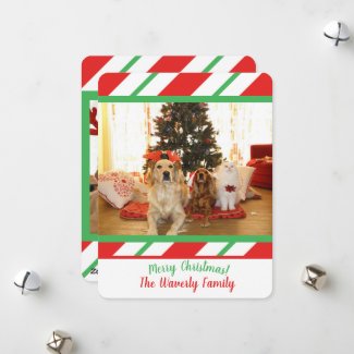Christmas Classic Candy Cane Stripes Photo