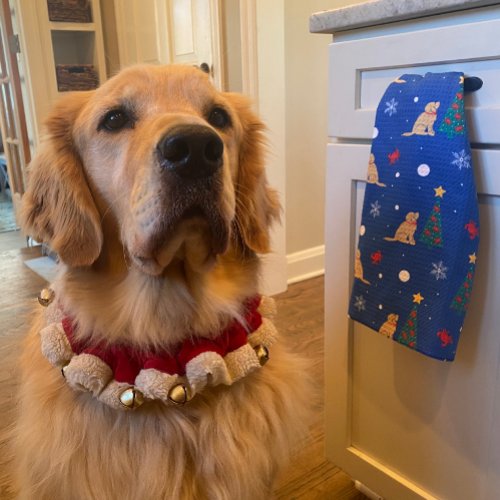 Christmas Coastal Dog Kitchen Towel