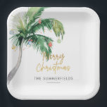 Christmas Coastal Holidays Palm Tree Paper Plates<br><div class="desc">Bring a touch of paradise to your holiday festivities with our unique personalized Christmas paper plates. These eye-catching disposable dishes showcase a whimsical tropical-themed design, featuring a palm tree adorned with festive ornaments and twinkling lights. The cheerful "Merry Christmas" script adds a jolly greeting to each plate, perfectly blending traditional...</div>