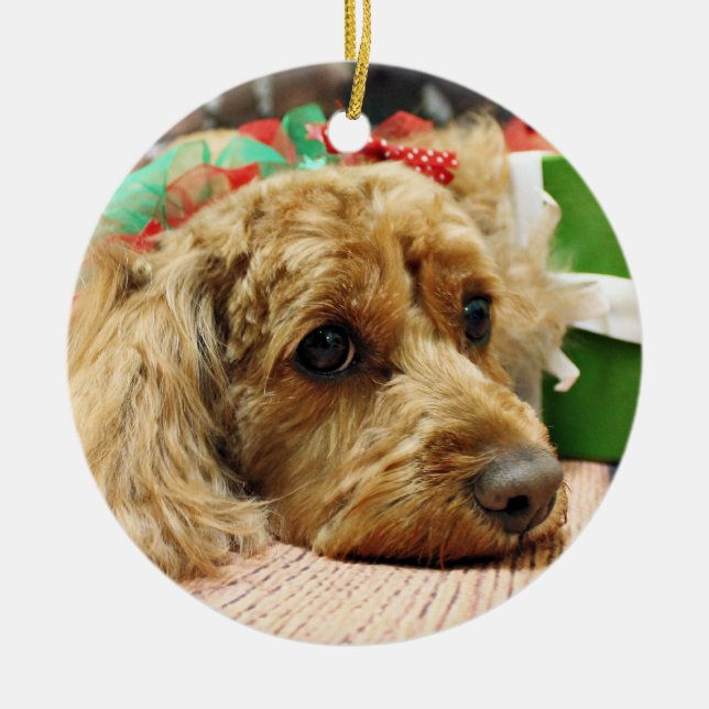 Christmas - Cockapoo - Odie Ceramic Ornament (Front)