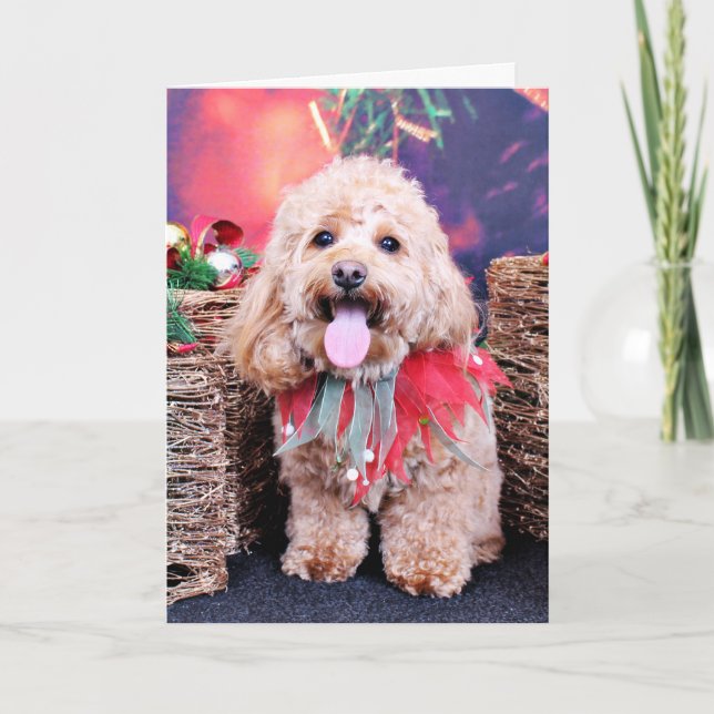 Christmas - Cockapoo - Wriggly Holiday Card (Front)