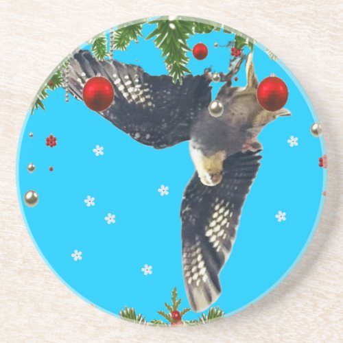 Christmas Cockatiel Coasters for the holiday  