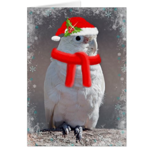 Christmas Cockatoo Card Enter Your Own Message