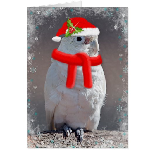 Christmas Cockatoo Card (Enter Your Own Message) (Front)