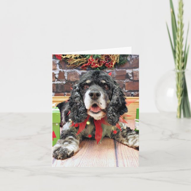 Christmas - Cocker Spaniel - Harley Holiday Card (Front)