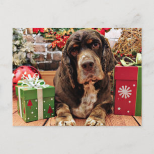Christmas - Cocker Spaniel - Remmy Holiday Postcard