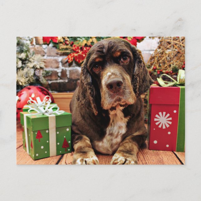 Christmas - Cocker Spaniel - Remmy Holiday Postcard (Front)