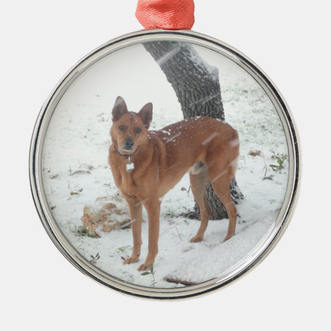 Christmas Collection Add Pet or Family Photo Metal Ornament (Front)