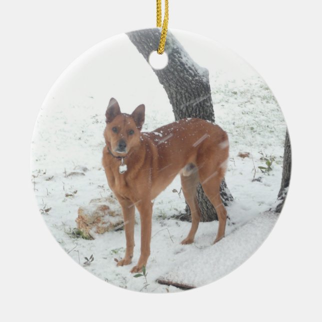 Christmas Collection In Memory of Champ Ceramic Ornament (Front)