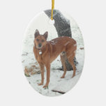 Christmas Collection Pet Or Family Photo Ceramic Ornament at Zazzle