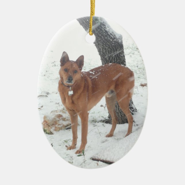 Christmas Collection Pet or Family Photo Ceramic Ornament (Front)
