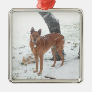 Christmas Collection Pet or Family Photo Metal Ornament