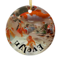 Christmas common and  shubunkin goldfish