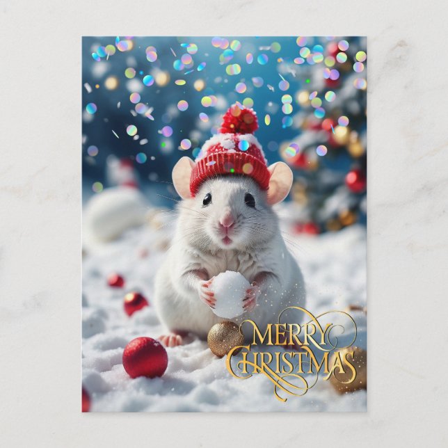 Christmas. Congratulation.  Postcard (Front)