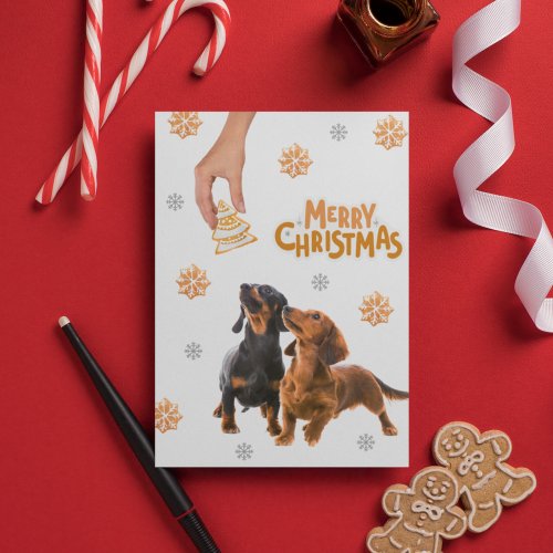 Christmas Cookies Dachshund Puppies Dog  Holiday Card