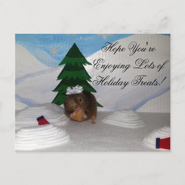 Christmas Cookies! Holiday Postcard (Front)