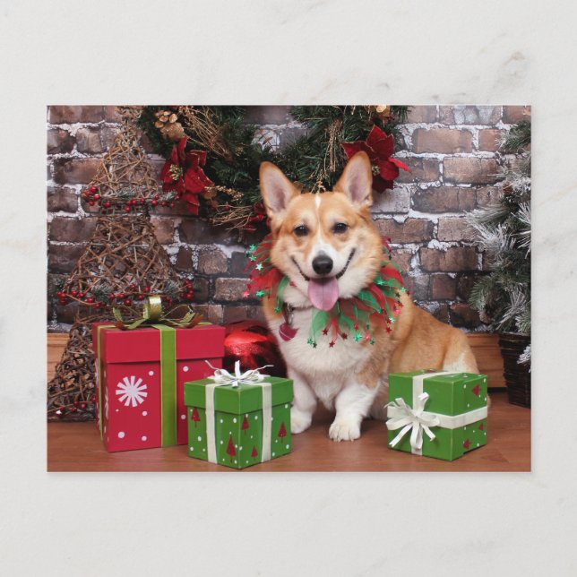 Christmas - Corgi - Cal Holiday Postcard (Front)