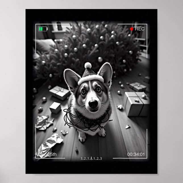Christmas Corgi Caught On Camera  Poster (Front)